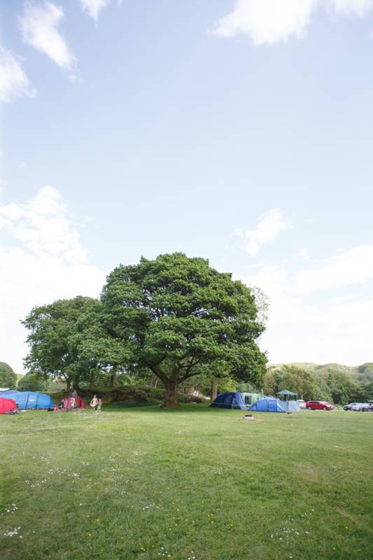 Motorhome Pitch (no electric hook-up)