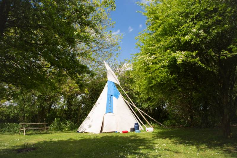 Medium Tipi 6 - Village Field