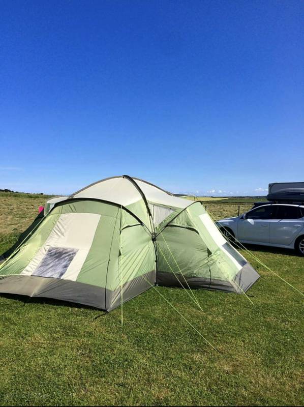 Grass Pitch with Electric