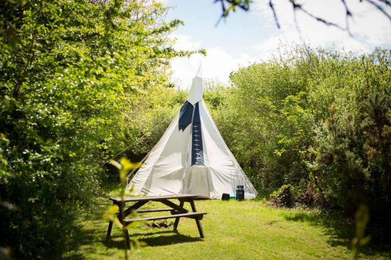 Large Tipi 4 - Village Field