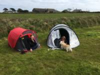 Long Field - Tent Pitch 21