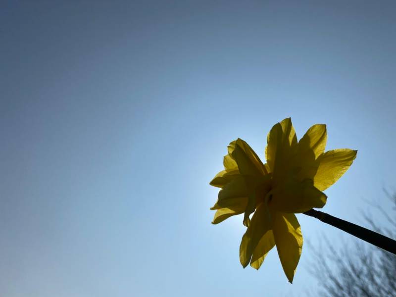 Camping Pitch for 1 Campervan