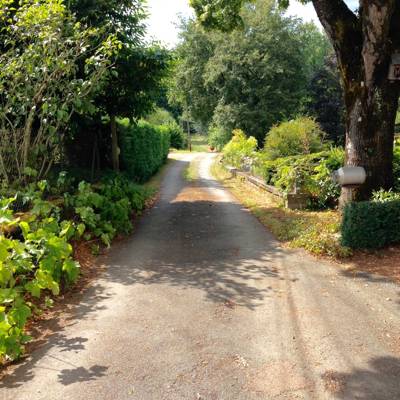 Luna Bell Tent 6m double bed grassland