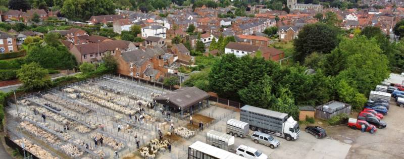 Hard-Standing Pitch for Motorhome only