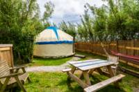 Buzzard Yurt