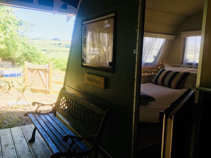 Wild Rose Vintage Caravan
