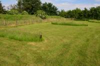 Grass Pitch