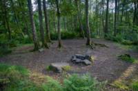 Woodland Tent Pitch 10 (3.5m x 3.5m)