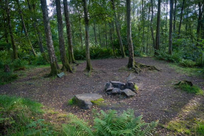 Woodland Tent Pitch 10 (3.5m x 3.5m)