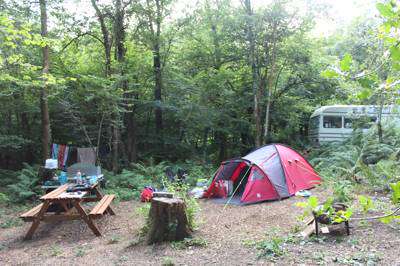 Bluebell Woodland Pitch