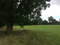 20 Pop-up Camping Meadow Pitch (1st Field)