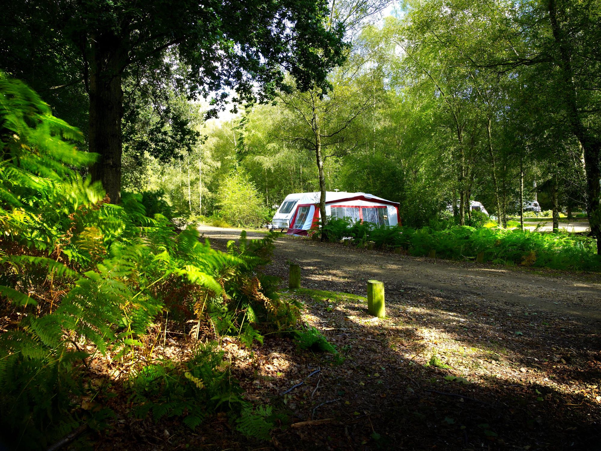 Setthorns Campsite Setthorns New Milton Hampshire Bh25 5wa Setthorns Campsite Setthorns New Milton Hampshire Bh25 5wa