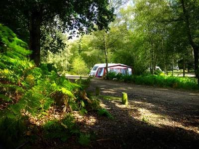 Setthorns Campsite Setthorns, New Milton, Hampshire BH25 5WA