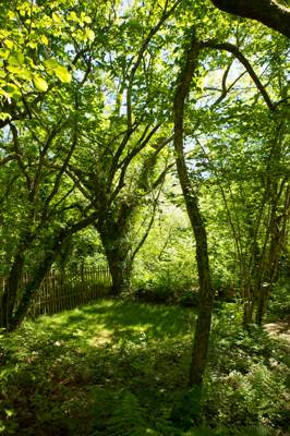 Lake View 1 - Wild Camping - Private Pitch