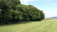 Grass pitch