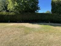 Pitch 2