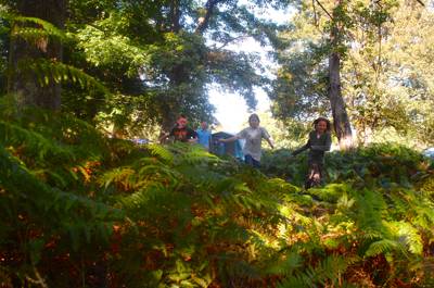Matley Wood Campsite Matley Wood, Beaulieu Road, Lyndhurst, Hampshire SO43 7FZ