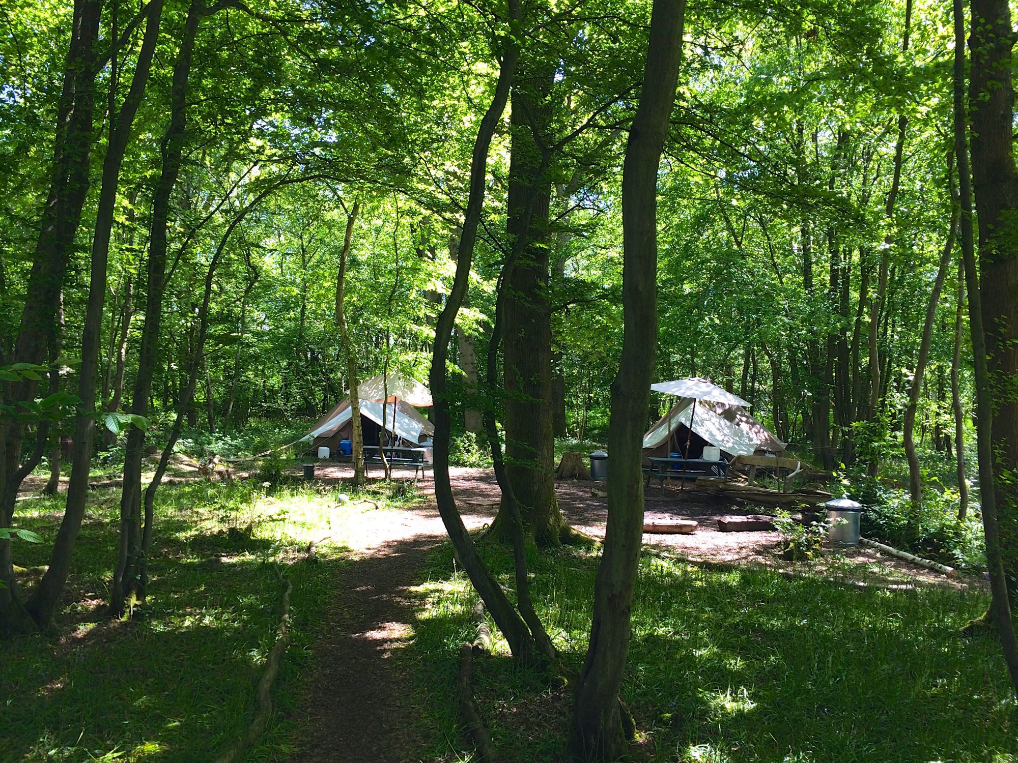 Campsites on the Weald – Best camping locations in the High Weald area – Cool Camping