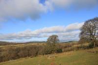 Dyffryn