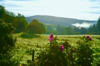 Ty Crwn Bach Idris - Yurt