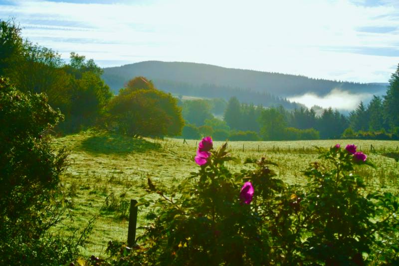 Ty Crwn Bach Idris - Yurt