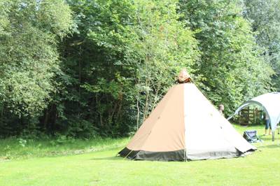 Electric Grass Pitch