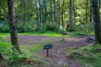 Woodland Tent Pitch 3 (3.5m x 3.5m)