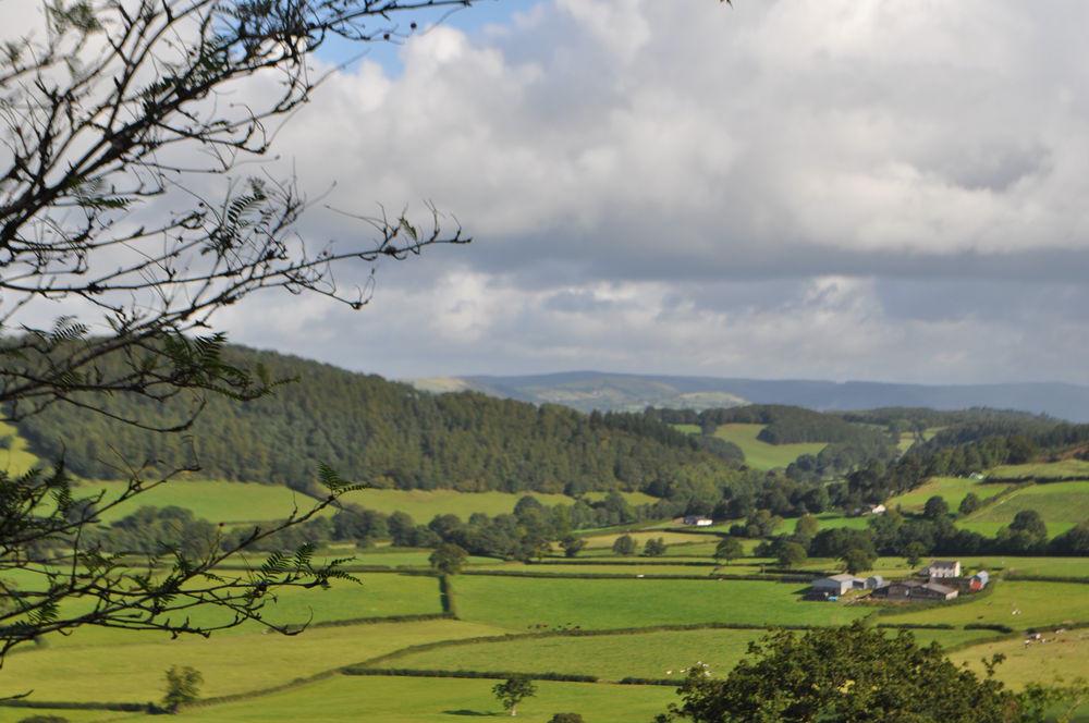 Hotels, B&Bs & SelfCatering in Carmarthenshire