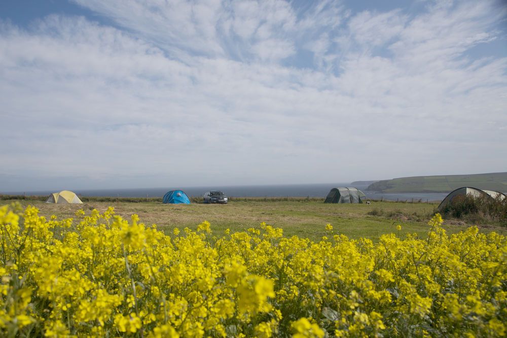 Campsites in Orkney Islands Best Campsites on the Isles Cool Camping