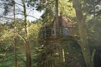 "Ecureuil" Squirrel Tree House