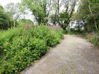 The Glade