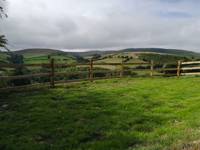 Cae Bell Secluded Tent Pitch