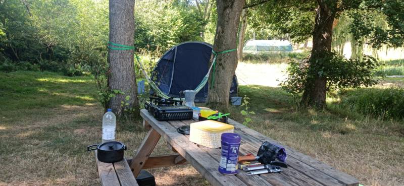 Willow View - Nearly-wild, woodland pitch