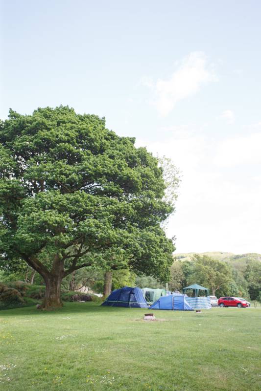 Medium Tent Grass Pitch (NO ELECTRIC HOOK UP)
