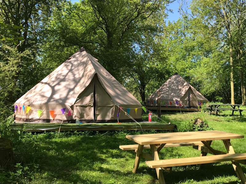 Ash the Woodland Bell Tent