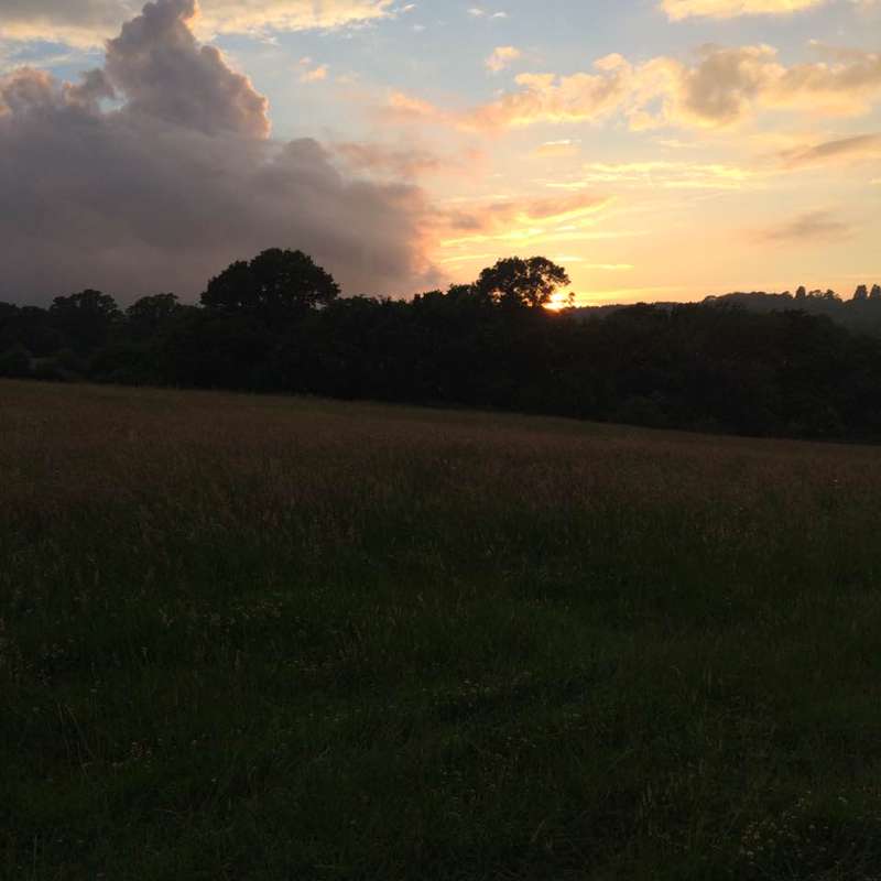 Wild camping pitch - up to 8 people