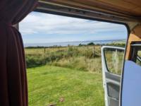 Buzzard Grass Pitch (electric)