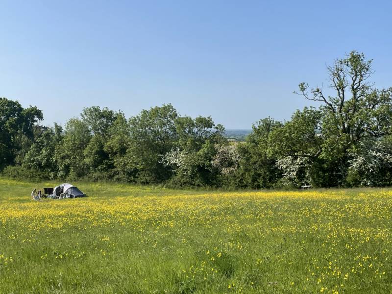 Camping Meadow - Pitch 2