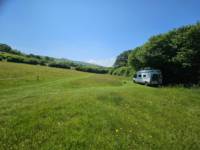 Lower Meadow Van / Roof Tent Pitch