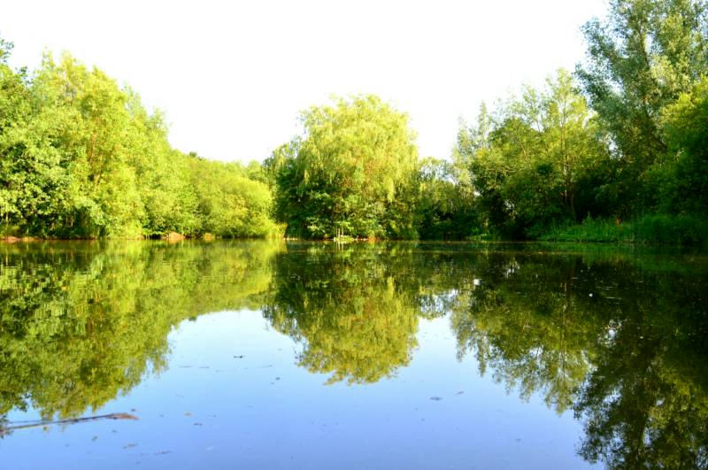 Tent Pitch with fire pit - Bella of Broch