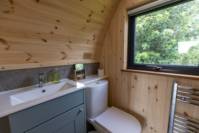 Cedar