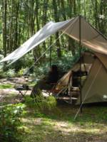 Forest Tent Pitch