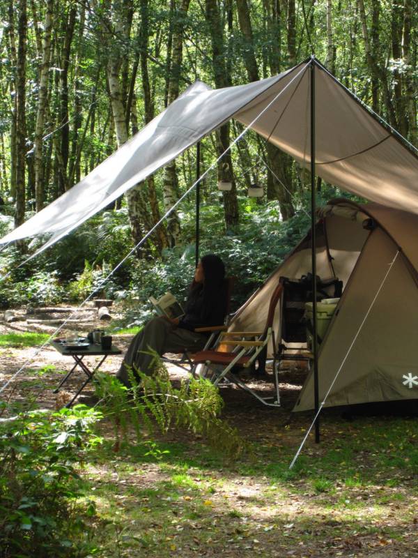 Forest Tent Pitch