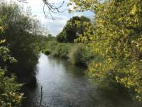 Yalding Wild Camping