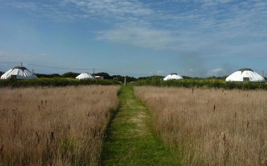 Yurts in Devon