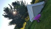 Bell Tent (5m)