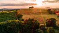 Skylark: Luxury Ensuite Yurt in Dorset