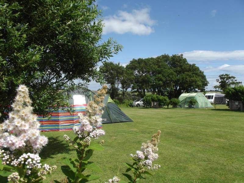 Parkland Camping and Glamping Site Sorley Green, Kingsbridge, Devon TQ7 4AF