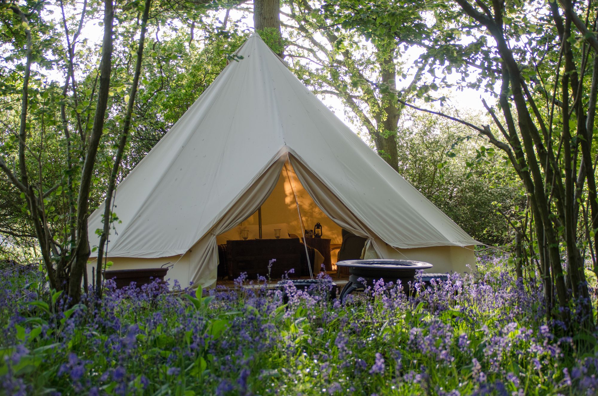 Forest Camping West Sussex / Worth Forest Glamping Rural camping in a