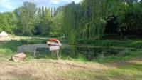 Willow View - Nearly-wild, woodland pitch